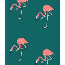 Flamingo Hocsocx